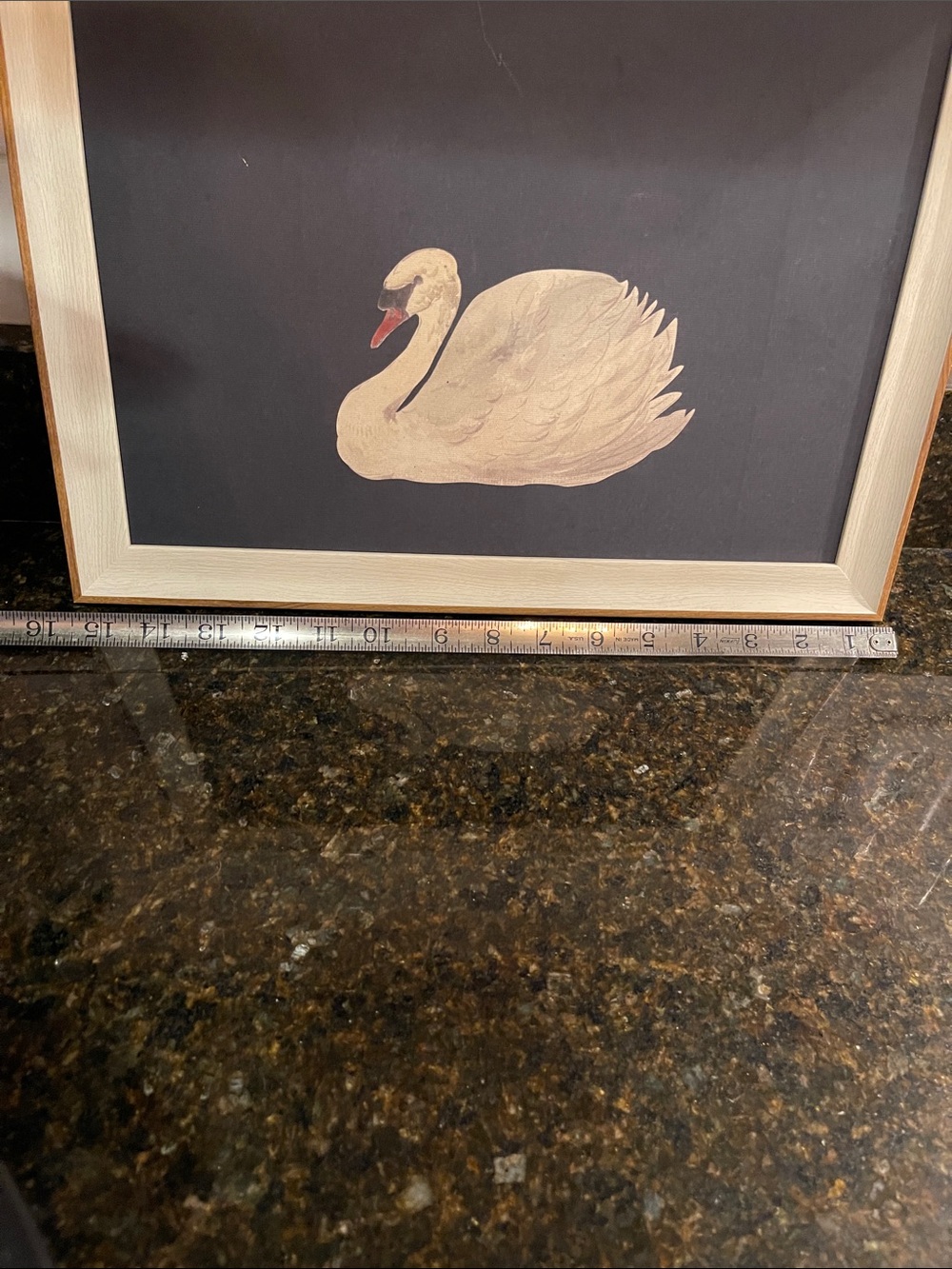 Framed Swan Artwork - Cream Swan on Dark Backgroundy - Picture 2 of 14